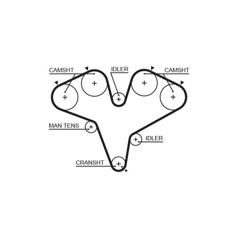 COURROIE DISTRIBUTION RPM RACING