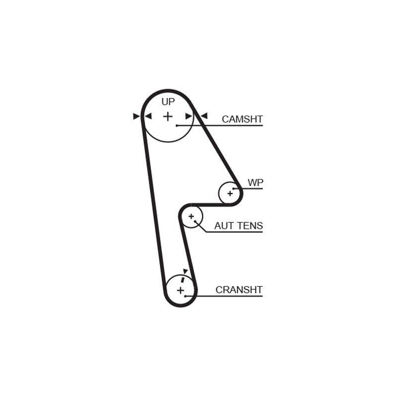 COURROIE DISTRIBUTION RPM RACING