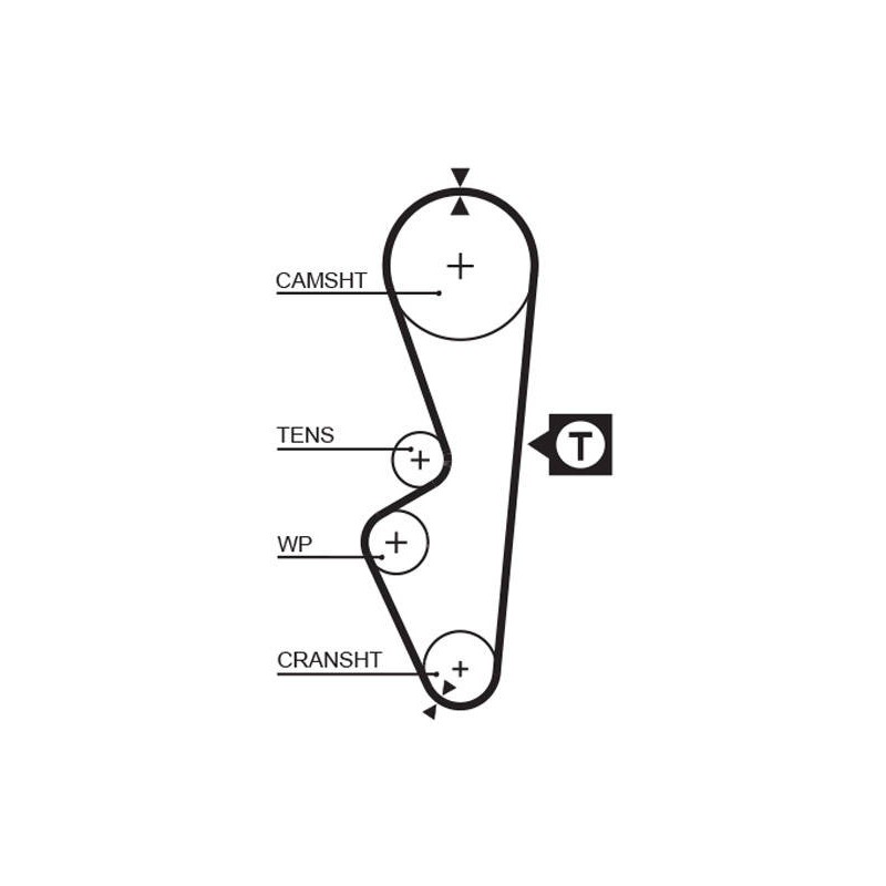 COURROIE DISTRIBUTION