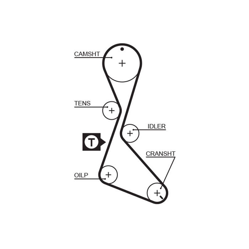 COURROIE DISTRIBUTION