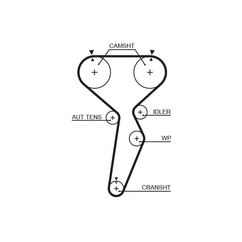 COURROIE DISTRIBUTION