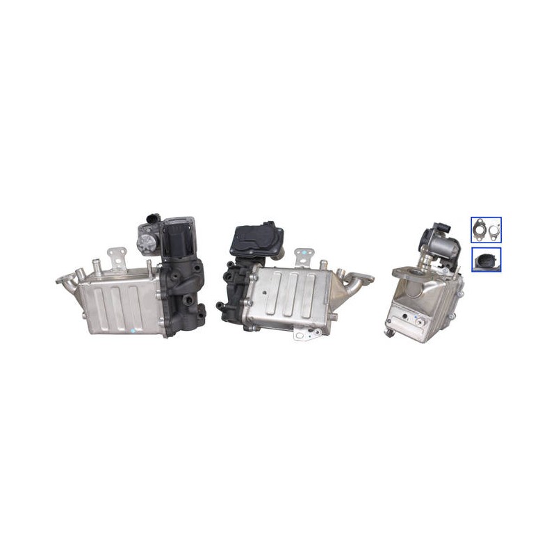 EXCHANGE EGR VALVE