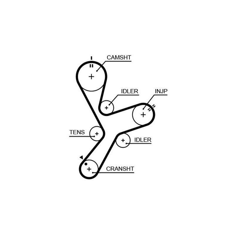 COURROIE DISTRIBUTION