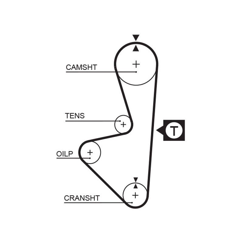 COURROIE DISTRIBUTION
