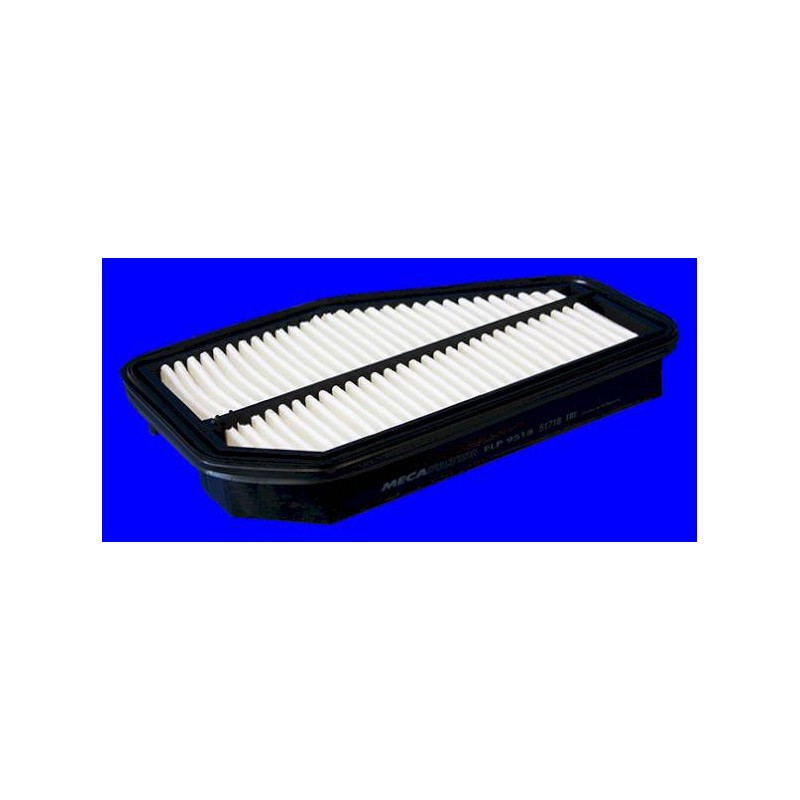 FILTRE A AIR VL