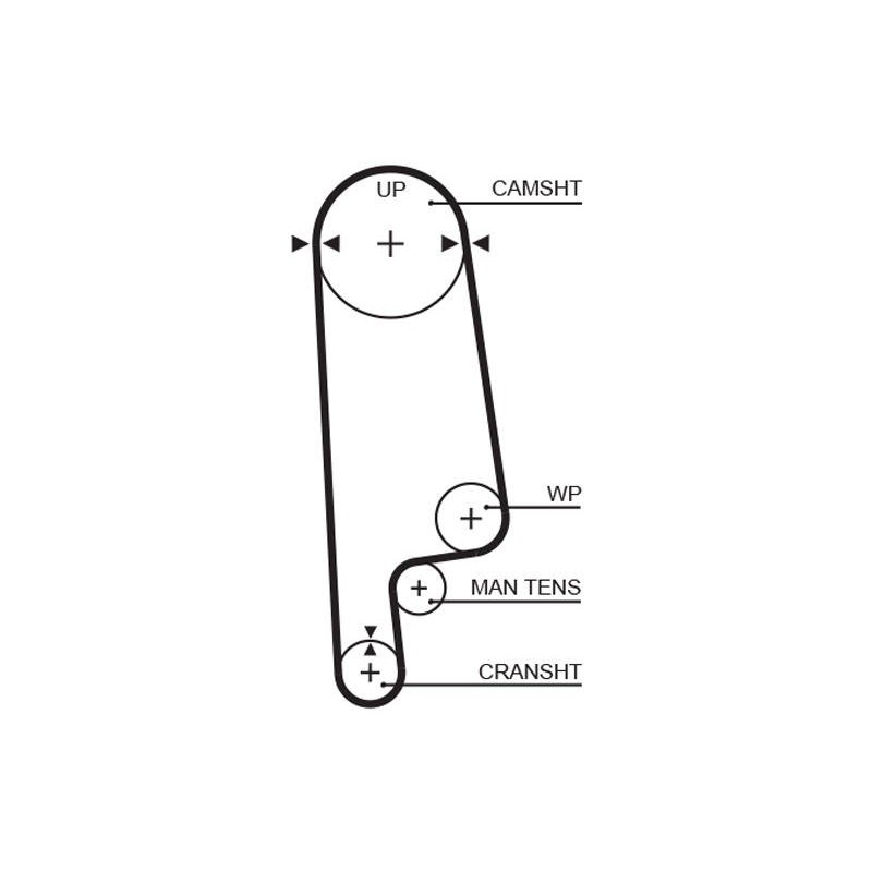 COURROIE DISTRIBUTION