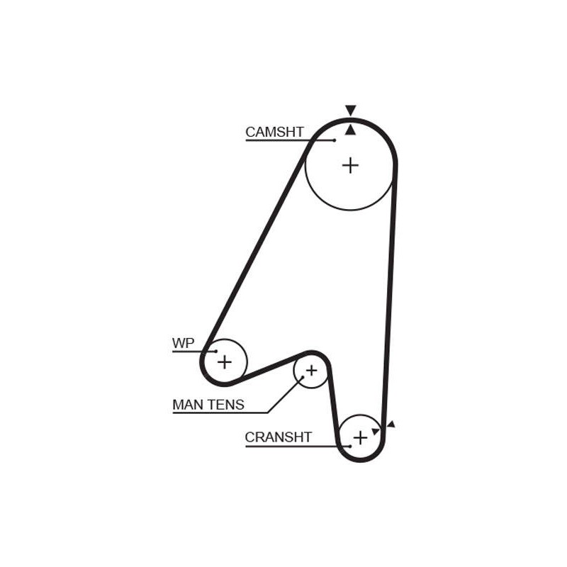 COURROIE DISTRIBUTION