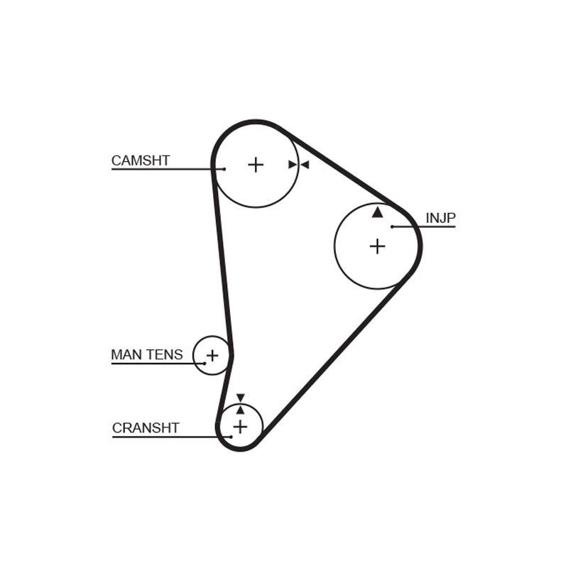 COURROIE DISTRIBUTION