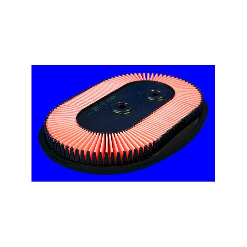 FILTRE A AIR VL