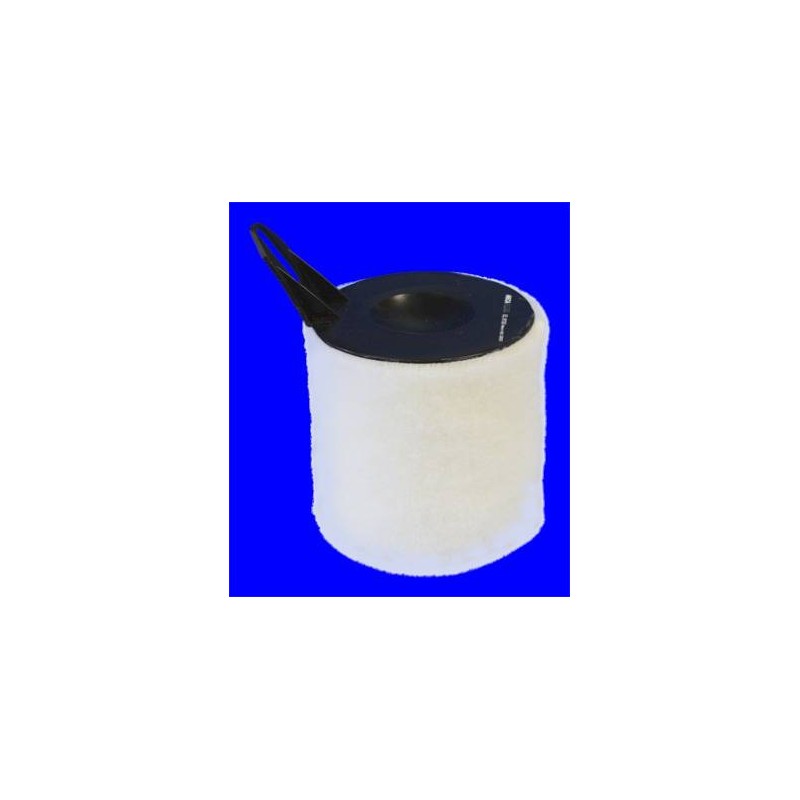 FILTRE A AIR VL
