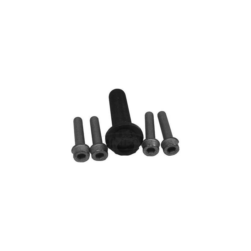 KIT VIS DE POULIE DE VILEBREQUIN V