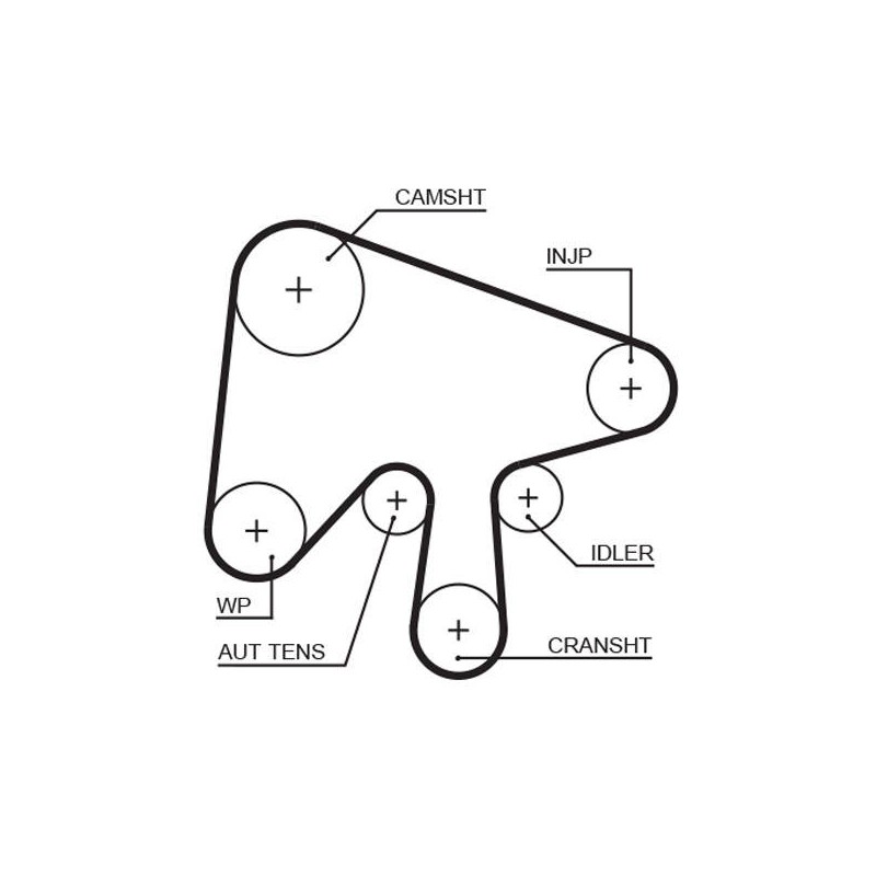 COURROIE DISTRIBUTION