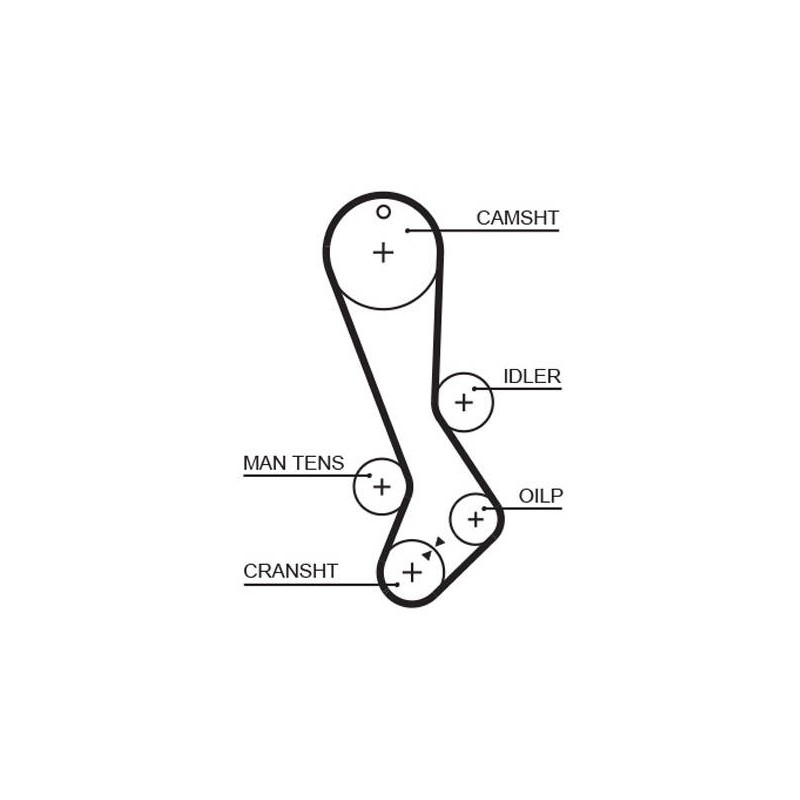 COURROIE DISTRIBUTION