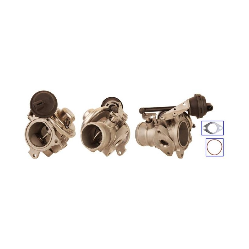 EXCHANGE EGR VALVE