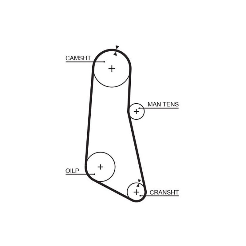 COURROIE DISTRIBUTION