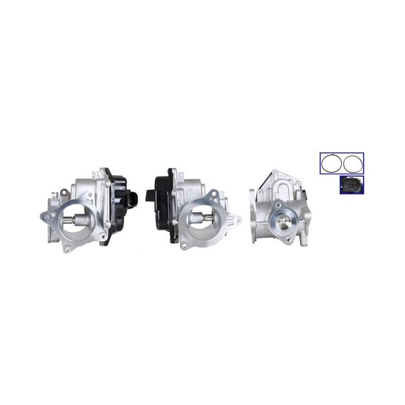 EXCHANGE EGR VALVE