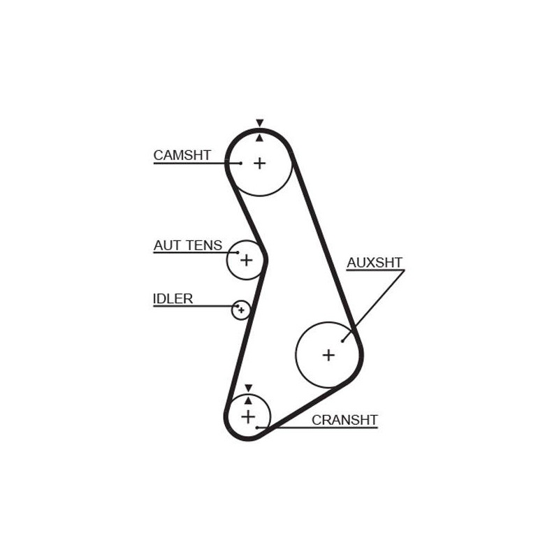 COURROIE DISTRIBUTION