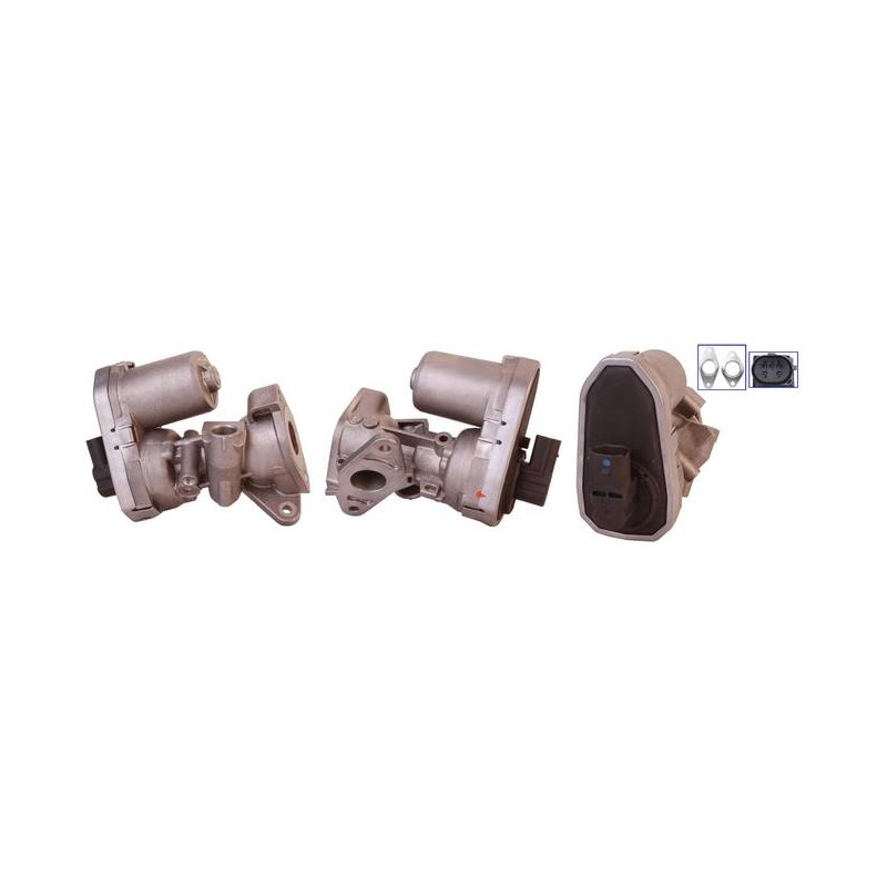 EXCHANGE EGR VALVE