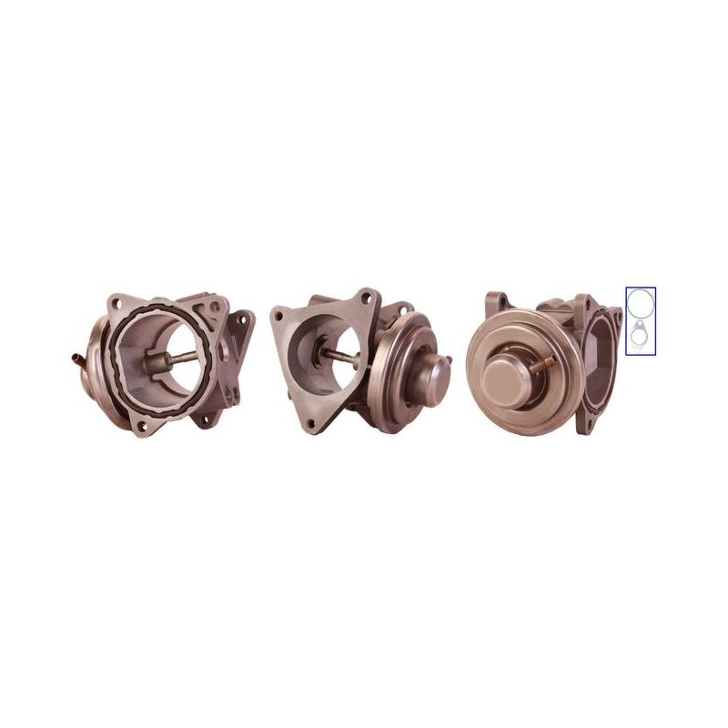EXCHANGE EGR VALVE