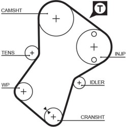 COURROIE DISTRIBUTION