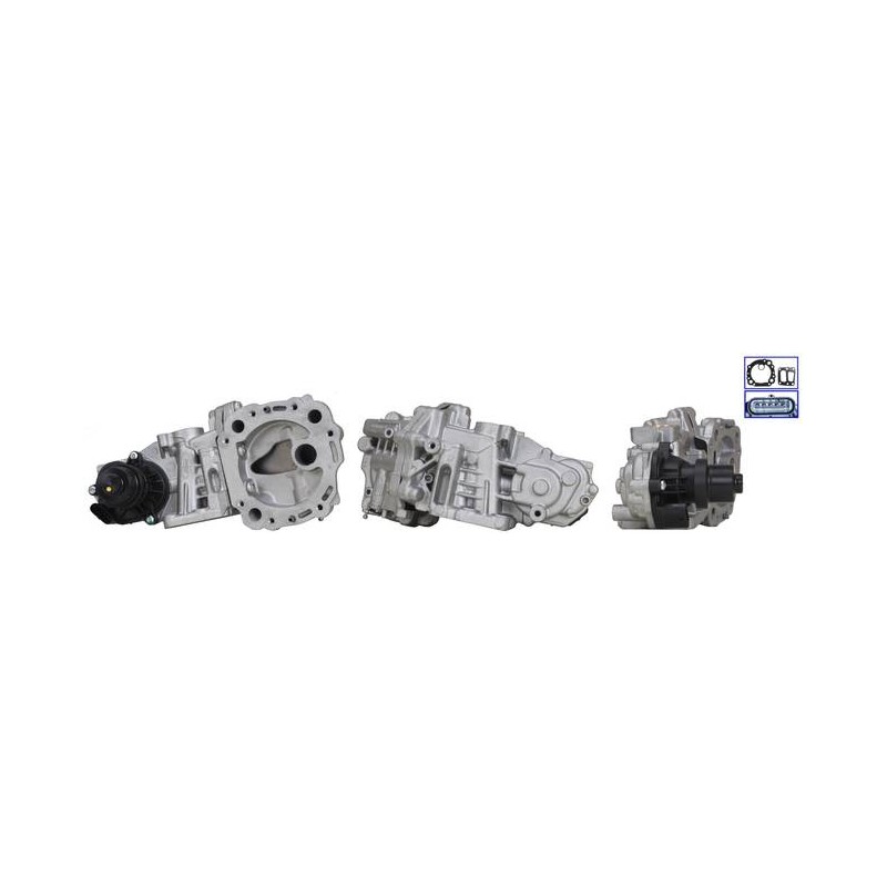 EXCHANGE EGR VALVE