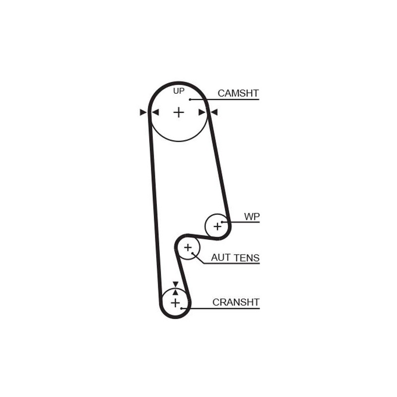 COURROIE DISTRIBUTION