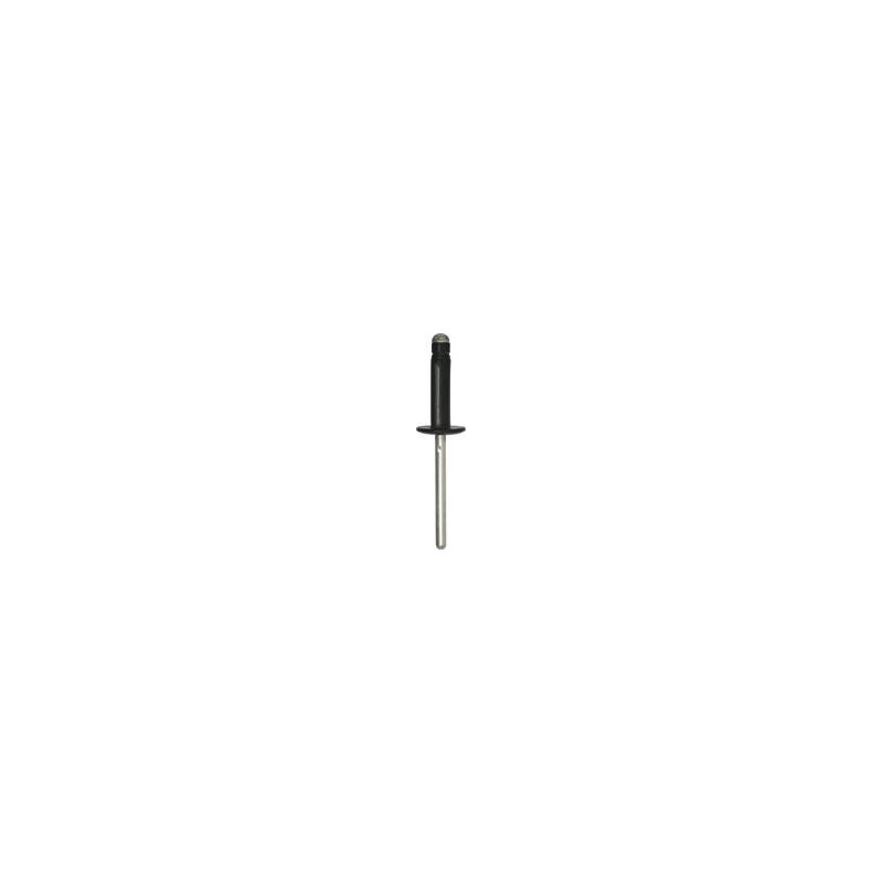 SACHET RIVETS 11555