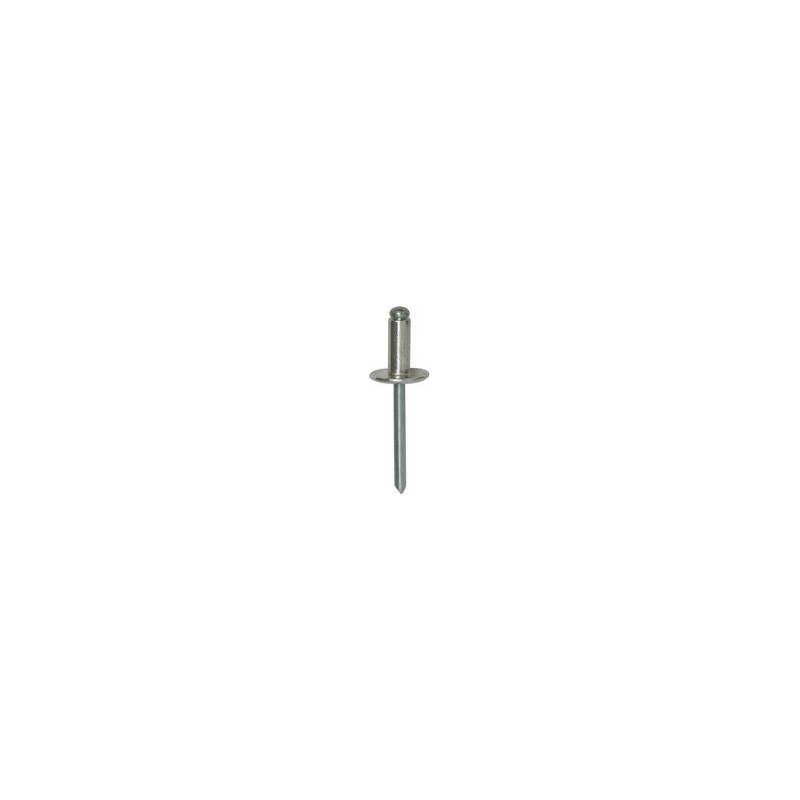BLISTER RIVETS 228460