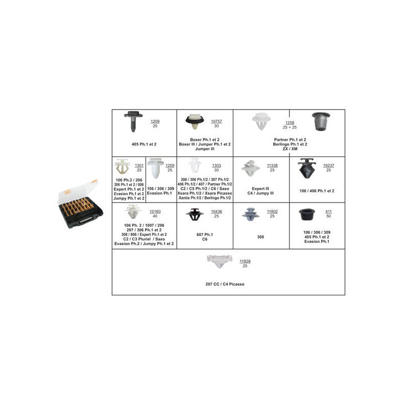 COFFRET PSA MOULURES