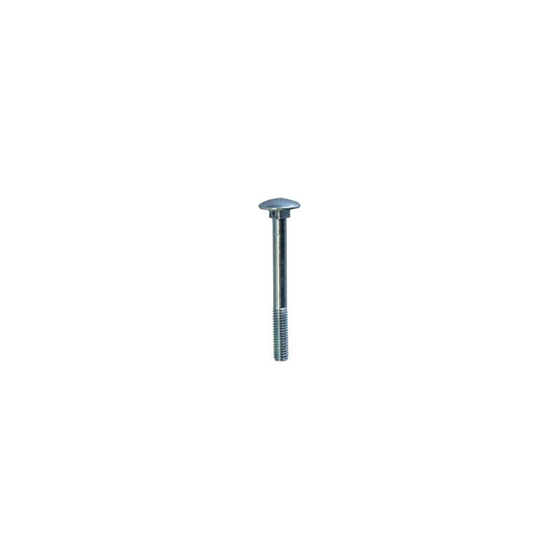 PL BTE VIS TETE LARGE 40254