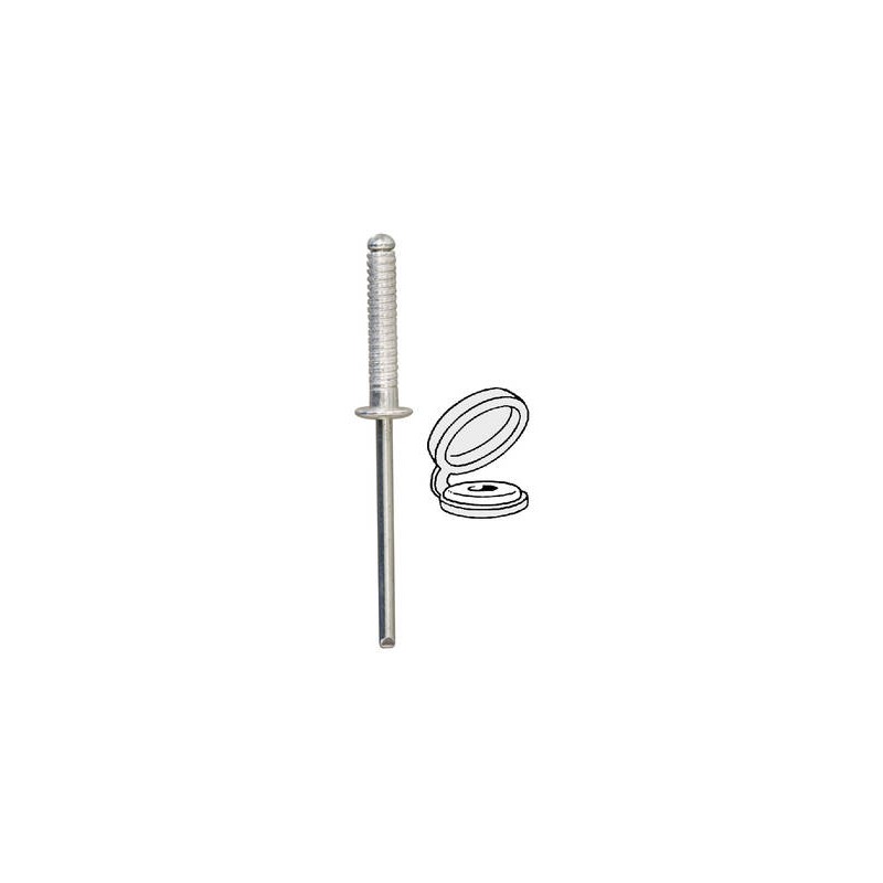 SACHET RIVET 4732