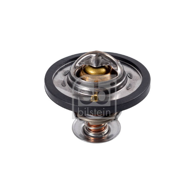 THERMOSTAT
