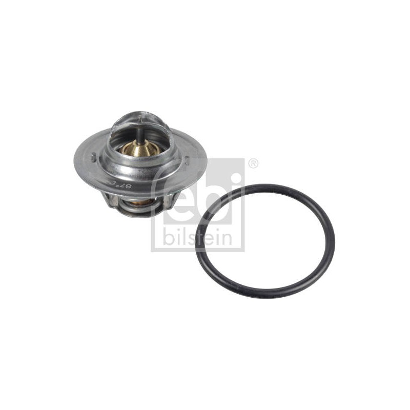 THERMOSTAT