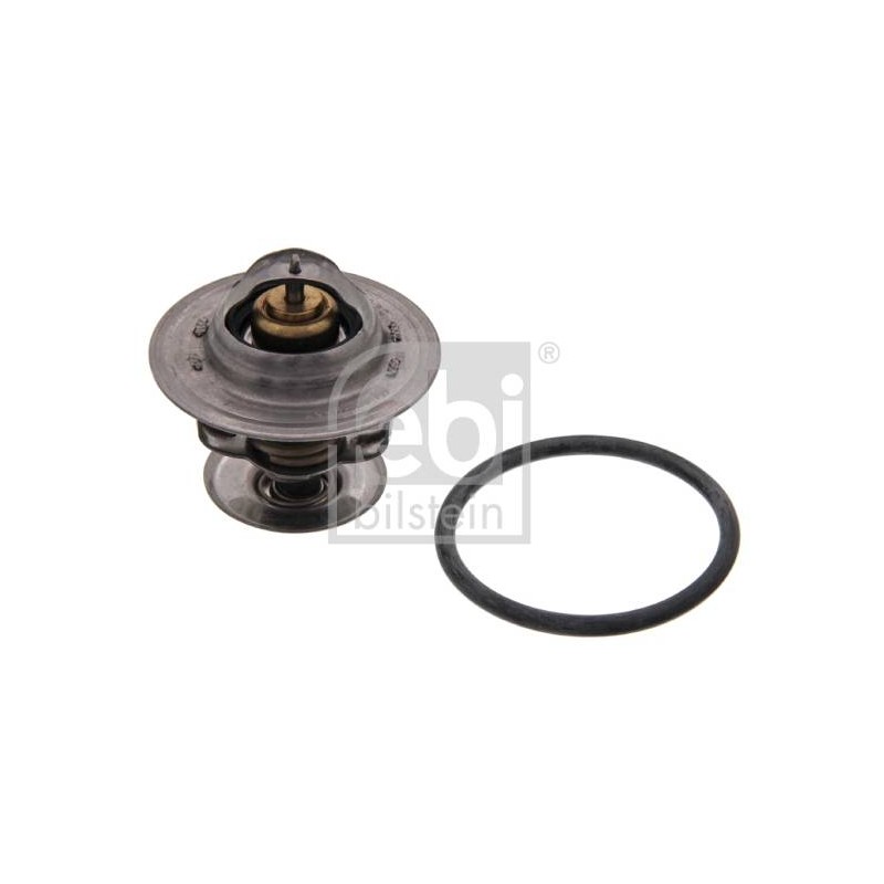THERMOSTAT