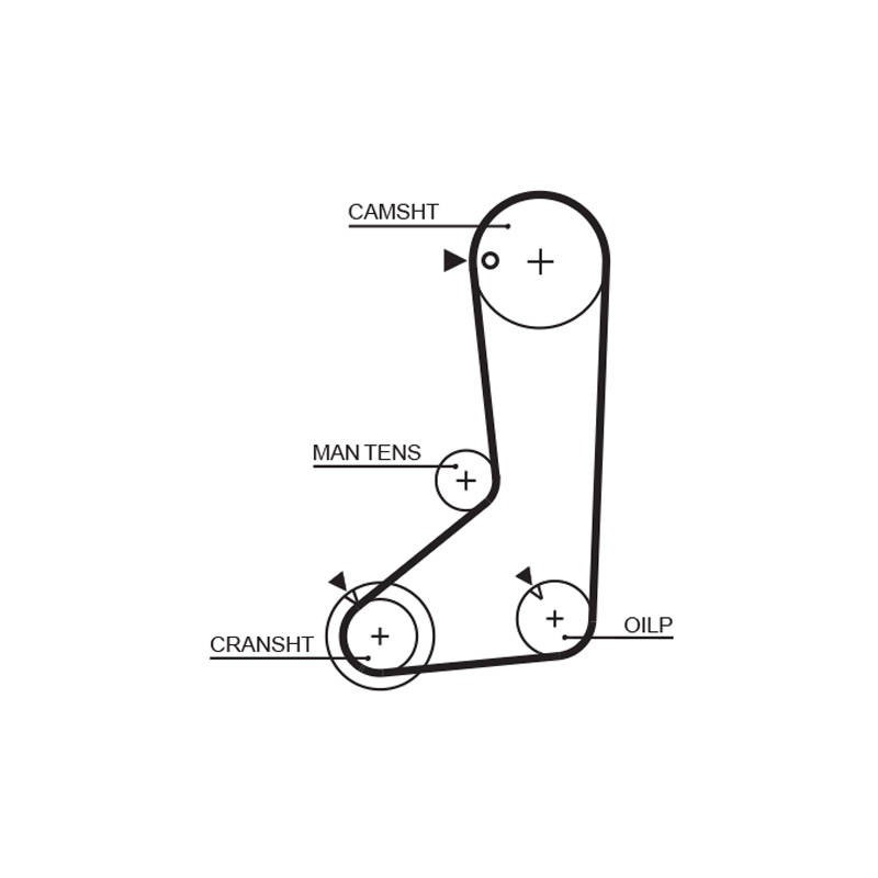 COURROIE DISTRIBUTION