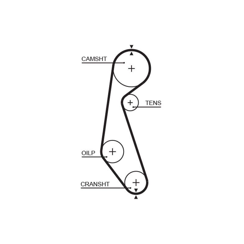 COURROIE DISTRIBUTION