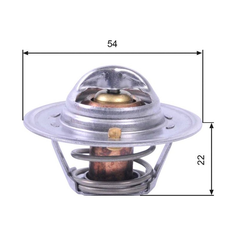 THERMOSTAT