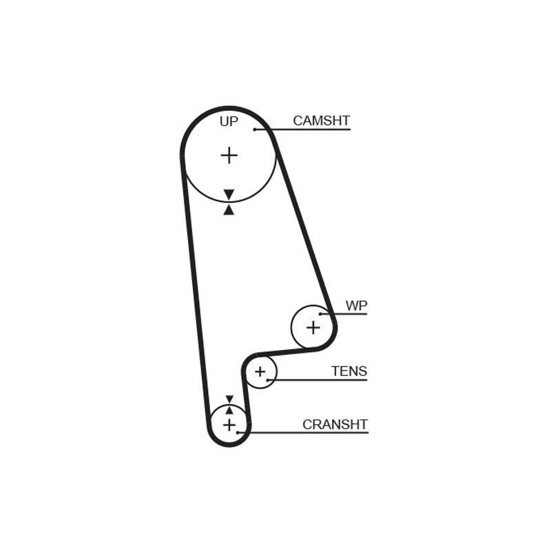 COURROIE DISTRIBUTION RPM RACING