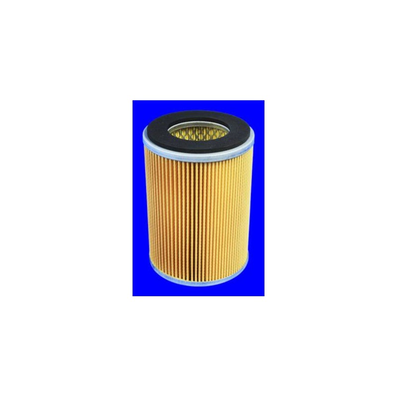 FILTRE A AIR VL