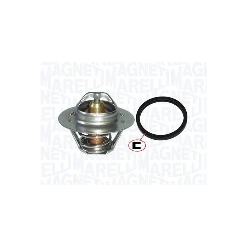 THERMOSTAT POUR CITROEN SAXO