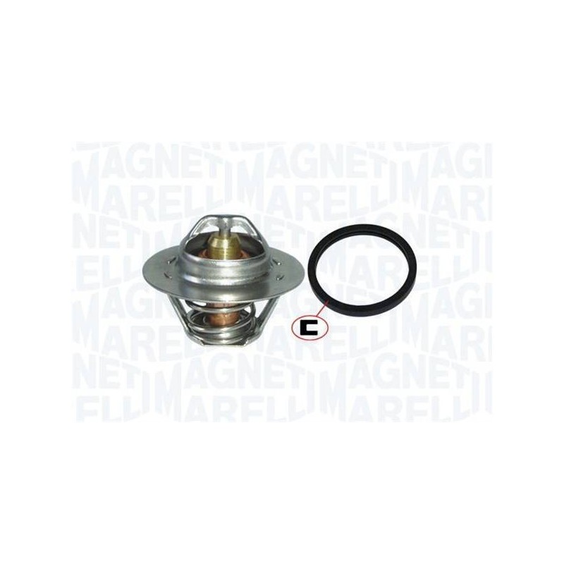 THERMOSTAT POUR CITROEN SAXO