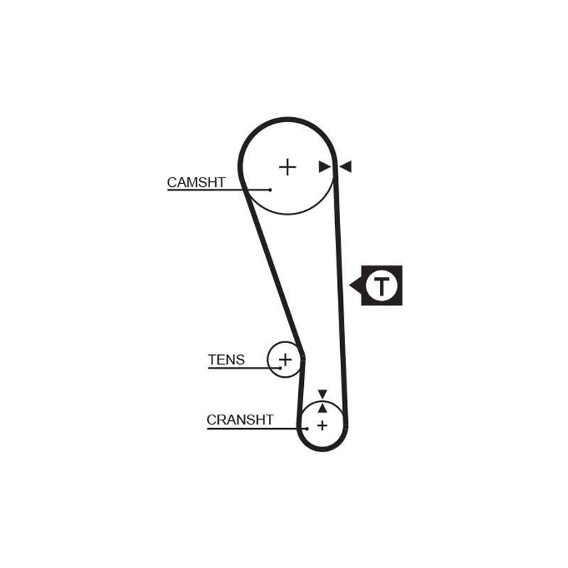 COURROIE DISTRIBUTION