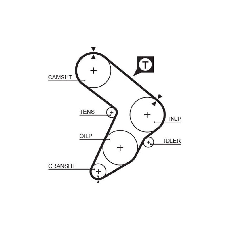 COURROIE DISTRIBUTION