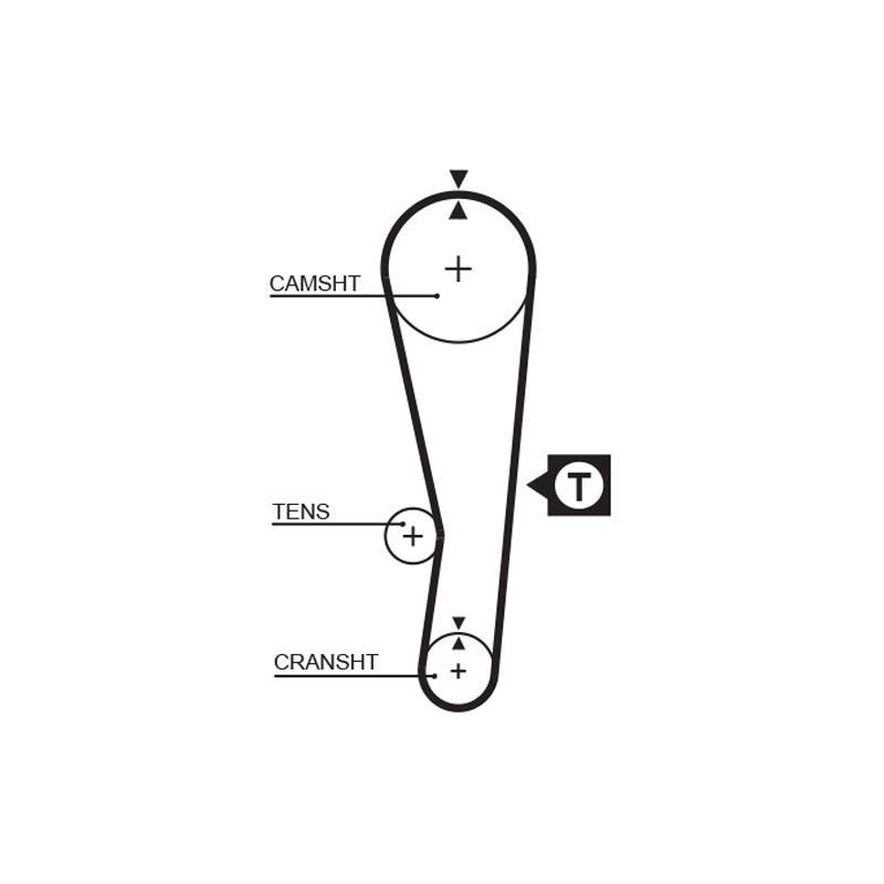 COURROIE DISTRIBUTION