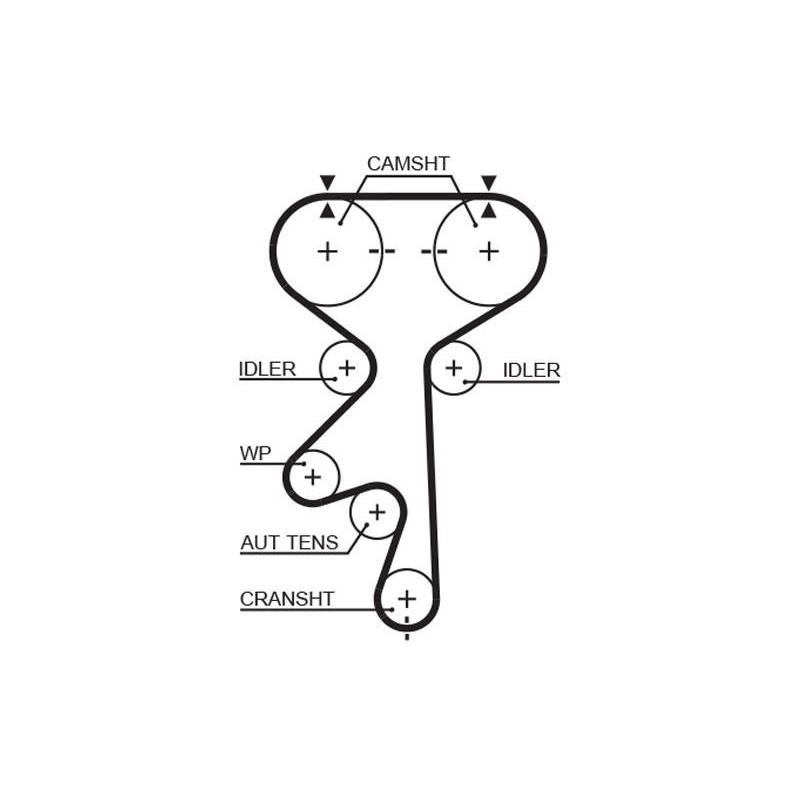 COURROIE DISTRIBUTION