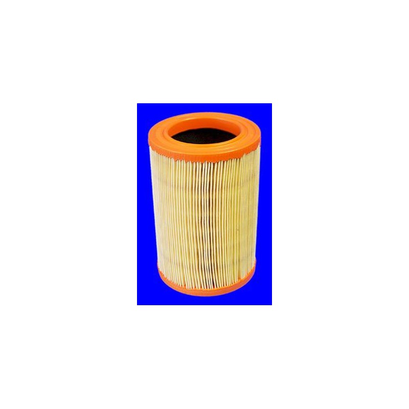 FILTRE A AIR VL