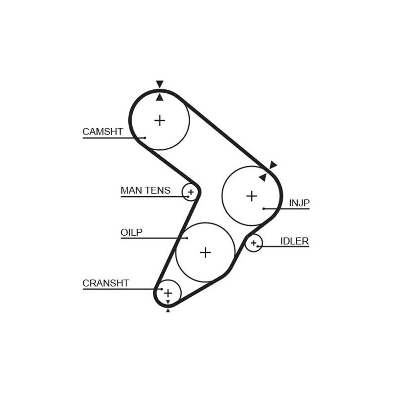 COURROIE DISTRIBUTION