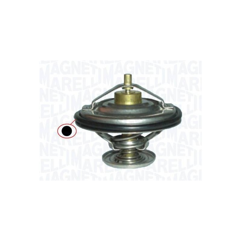THERMOSTAT BMW X5 E53/JEEP CHEROKEE