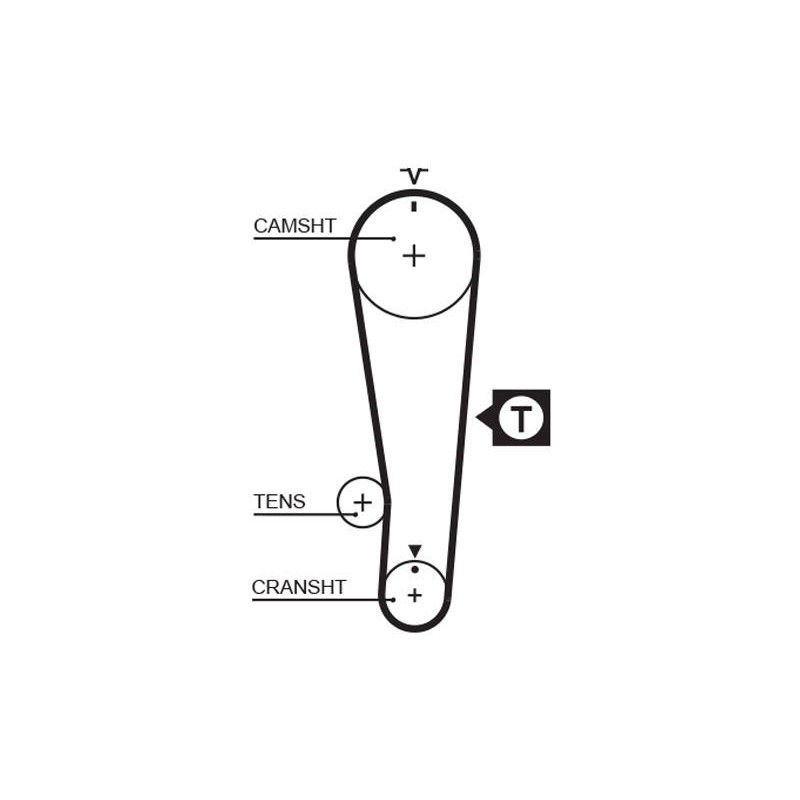 COURROIE DISTRIBUTION
