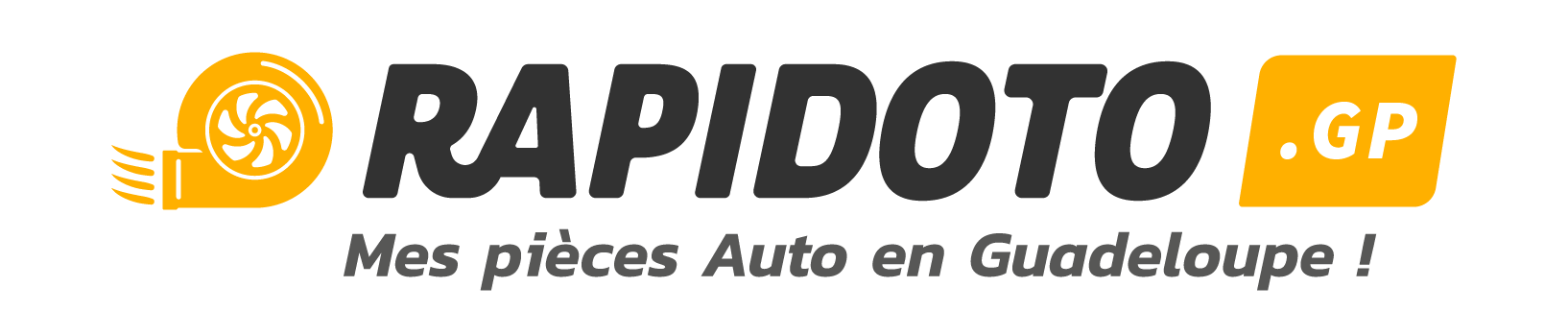 Rapidoto logo